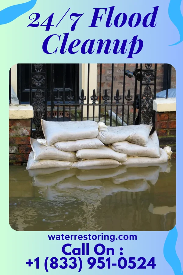 24/7 Flood Cleanup in Mansfield, LA